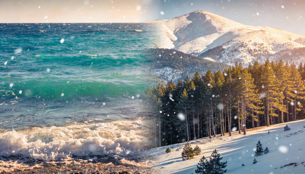 palanina ili more gde investirati u 2026. godin